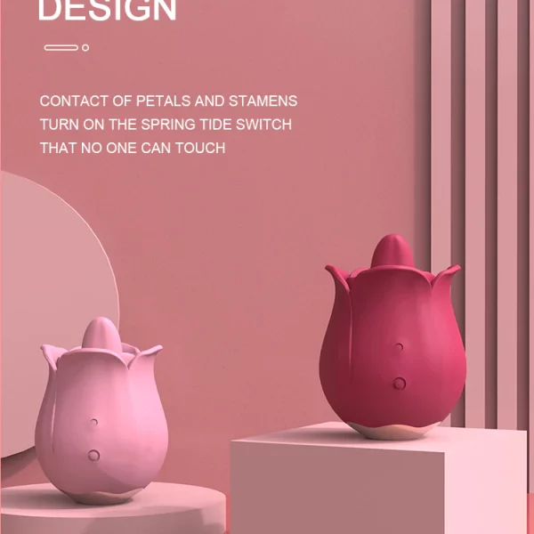 Rose flower – Cvijet ruže za žene slider