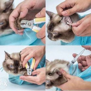 Cat grooming bag – Torba za njegu mačaka 03